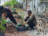 DLH Palangka Raya Tutup TPS Jalan Lawu, Bekas Lokasi Disulap Jadi Ruang Hijau